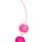 Kegel & Pelvic Exerciser