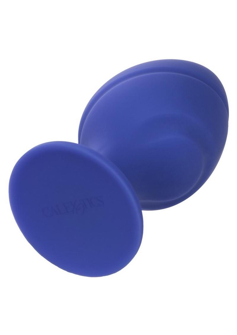 Cheeky Silicone Textured Anal Plugs - Blue/Purple - Large/Small - Set Of 2