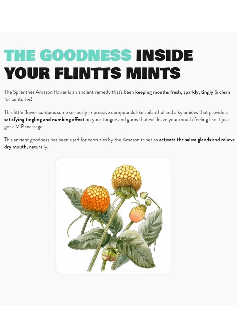 Flintts Mints Mouth Watering Oral Delights - Sour Tangerine