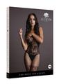 Le Desir Lace and Fishnet Bodystocking