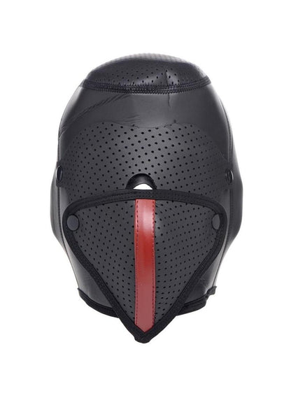 Master Series Scorpion Hood with Removable Blindfold and Face Mask