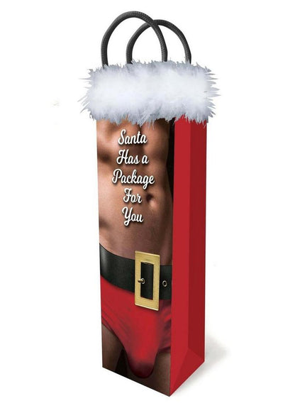 Santa Has A Big Package For You - Gift Bag