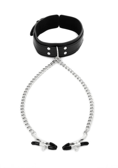 Sportsheets Collar with Nipple Clamps