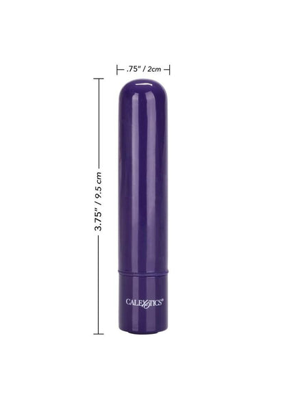 Tiny Teasers Rechargeable Bullet